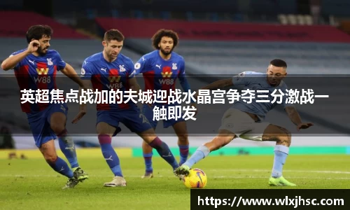 OB视讯英超焦点战加的夫城迎战水晶宫争夺三分激战一触即发