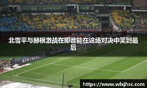 OB视讯北雪平与赫根激战在即谁能在这场对决中笑到最后